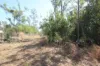 8 Pak Place, Wagait Beach, NT 0822