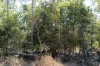 8 Pak Place, Wagait Beach, NT 0822-Image