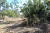 8 Pak Place, Wagait Beach, NT 0822-Image