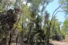 8 Pak Place, Wagait Beach, NT 0822-Image