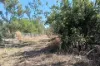 8 Pak Place, Wagait Beach, NT 0822-Image