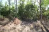 8 Pak Place, Wagait Beach, NT 0822-Image