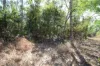 8 Pak Place, Wagait Beach, NT 0822-Image
