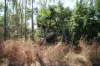 8 Pak Place, Wagait Beach, NT 0822-Image