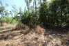 8 Pak Place, Wagait Beach, NT 0822-Image