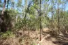 8 Pak Place, Wagait Beach, NT 0822-Image