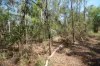 8 Pak Place, Wagait Beach, NT 0822-Image