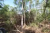 8 Pak Place, Wagait Beach, NT 0822-Image