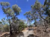 8 Rattray Ave, Hideaway Bay, Qld 4800-Image