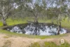 8 Redpath Road, Avoca, Vic 3467-Image