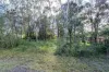 8 Waropara Road, Wyee, NSW 2259-Image