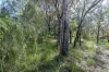 8 Waropara Road, Wyee, NSW 2259-Image