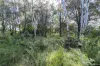 8 Waropara Road, Wyee, NSW 2259-Image