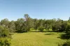 8 Westridge Street, Brookfield, Qld 4069-Image