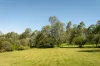 8 Westridge Street, Brookfield, Qld 4069-Image
