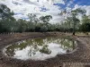80 Coolibah Way, Dalby, Qld 4405-Image