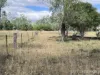 80 Coolibah Way, Dalby, Qld 4405-Image