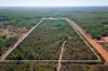 80 Namarada Drive, Dundee Beach, NT 0840-Image