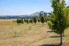80 Victoria Road, Kingston, Vic 3364-Image
