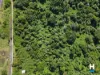 806 Beechmont Road, Lower Beechmont, Qld 4211-Image