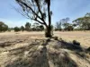 81 Antrim Street, Cuballing, WA 6311-Image