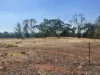 81 Antrim Street, Cuballing, WA 6311-Image