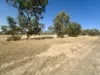 81 Antrim Street, Cuballing, WA 6311-Image