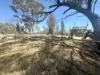81 Antrim Street, Cuballing, WA 6311-Image