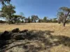 81 Antrim Street, Cuballing, WA 6311-Image