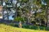 81 Courtenay Crescent, Long Beach, NSW 2536-Image