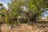 81 McCaul Street, Taringa, Qld 4068-Image