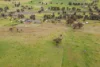81 Old Orange Road, Manildra, NSW 2865-Image