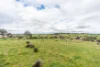 81 Old Orange Road, Manildra, NSW 2865-Image
