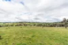81 Old Orange Road, Manildra, NSW 2865-Image