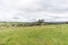 81 Old Orange Road, Manildra, NSW 2865-Image