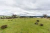 81 Old Orange Road, Manildra, NSW 2865-Image