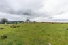 81 Old Orange Road, Manildra, NSW 2865-Image