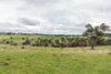 81 Old Orange Road, Manildra, NSW 2865-Image