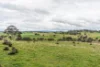 81 Old Orange Road, Manildra, NSW 2865-Image