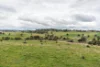 81 Old Orange Road, Manildra, NSW 2865-Image