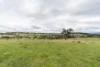 81 Old Orange Road, Manildra, NSW 2865-Image