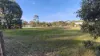 82 84 & 86 Third Avenue, Kendenup, WA 6323