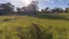82 84 & 86 Third Avenue, Kendenup, WA 6323-Image