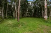 82 Bay Street, Balcolyn, NSW 2264-Image