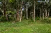 82 Bay Street, Balcolyn, NSW 2264-Image