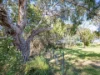82 North Ansons Road, Ansons Bay, Tas 7264-Image