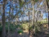 82 North Ansons Road, Ansons Bay, Tas 7264-Image