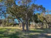 83 Grandview Rise, Kalgan, WA 6330-Image