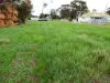 83 Henty Highway, Beulah, Vic 3395-Image