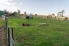 8385 Midland Highway, Tunbridge, Tas 7120-Image